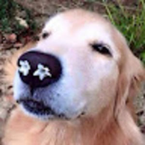 Meet your Posher, Da eun